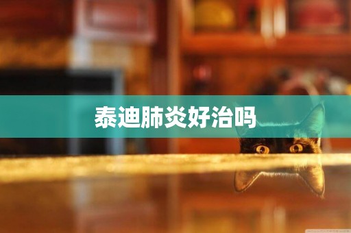 泰迪肺炎好治嗎