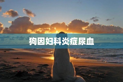 狗因婦科炎癥尿血