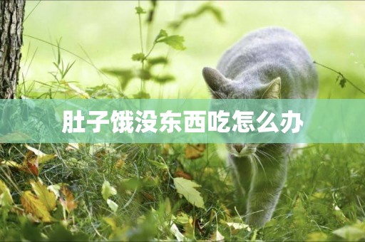 肚子餓沒東西吃怎么辦