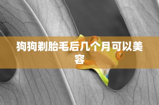 狗狗剃胎毛后幾個月可以美容