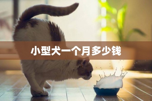 小型犬一個月多少錢
