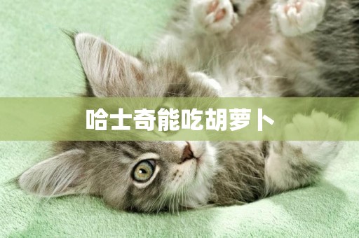 哈士奇能吃胡蘿卜