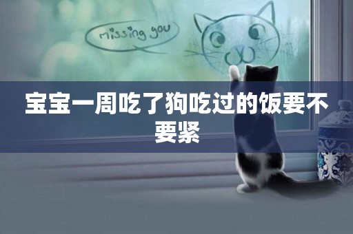 寶寶一周吃了狗吃過的飯要不要緊