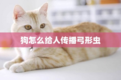 狗怎么給人傳播弓形蟲