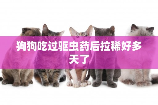 狗狗吃過驅蟲藥后拉稀好多天了