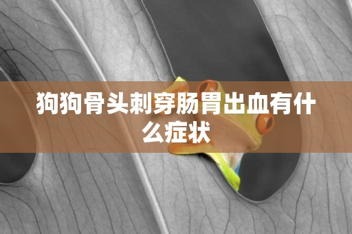 狗狗骨頭刺穿腸胃出血有什么癥狀
