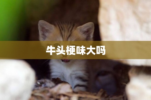牛頭梗味大嗎