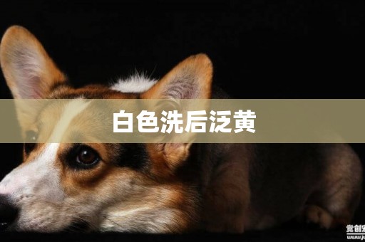 白色洗后泛黃