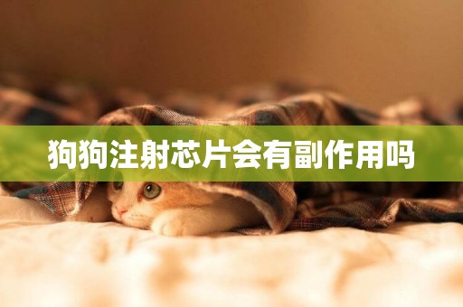 狗狗注射芯片會有副作用嗎