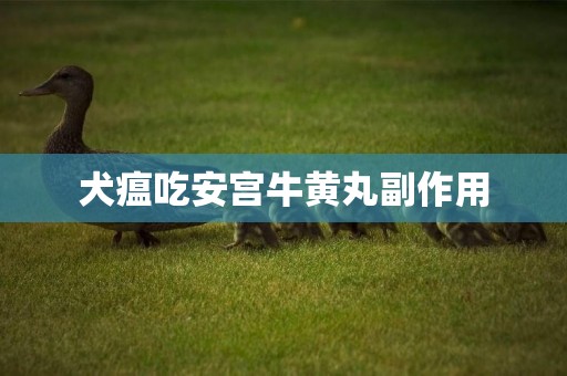 犬瘟吃安宮牛黃丸副作用