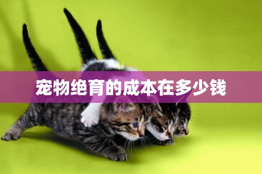 寵物絕育的成本在多少錢
