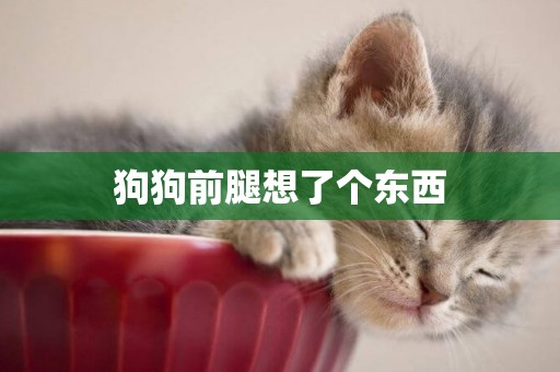 狗狗前腿想了個東西