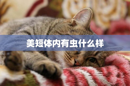 美短體內有蟲什么樣