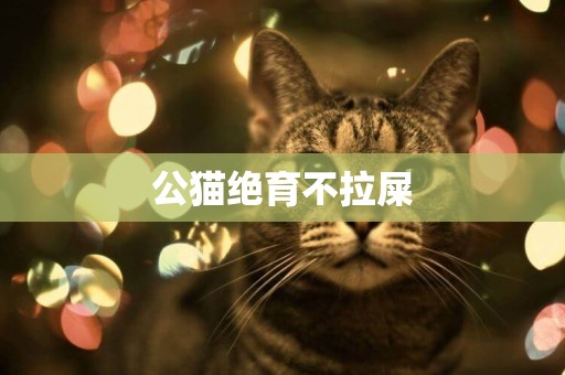 公貓絕育不拉屎