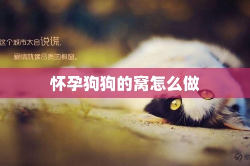 懷孕狗狗的窩怎么做
