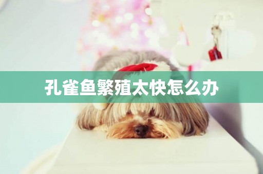 孔雀魚繁殖太快怎么辦