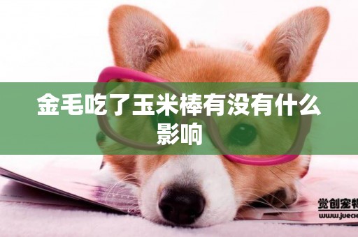 金毛吃了玉米棒有沒有什么影響