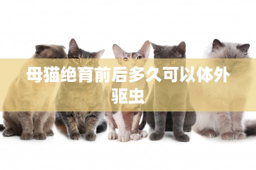 母貓絕育前后多久可以體外驅蟲