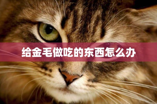 給金毛做吃的東西怎么辦