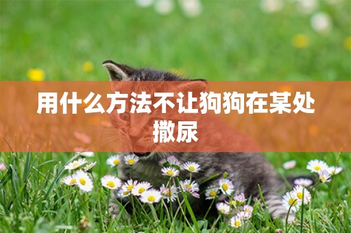用什么方法不讓狗狗在某處撒尿
