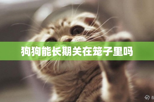 狗狗能長期關在籠子里嗎