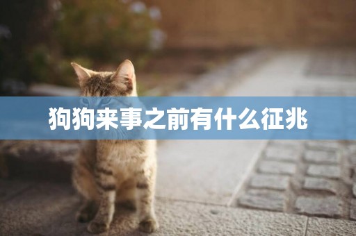 狗狗來事之前有什么征兆