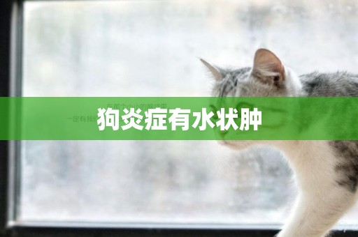 狗炎癥有水狀腫