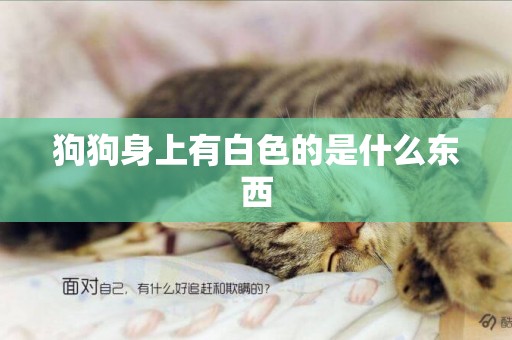 狗狗身上有白色的是什么東西