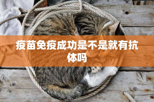 疫苗免疫成功是不是就有抗體嗎