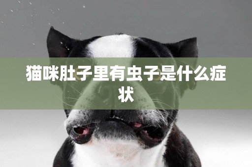 貓咪肚子里有蟲子是什么癥狀