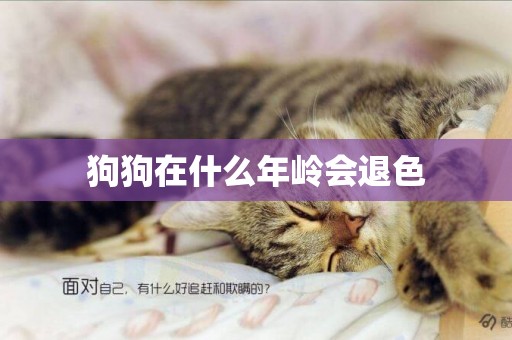 狗狗在什么年嶺會退色