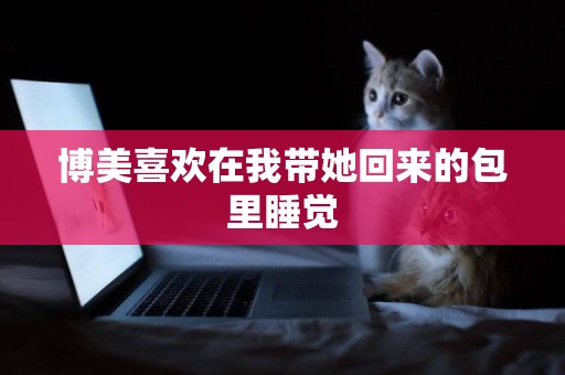 博美喜歡在我帶她回來的包里睡覺