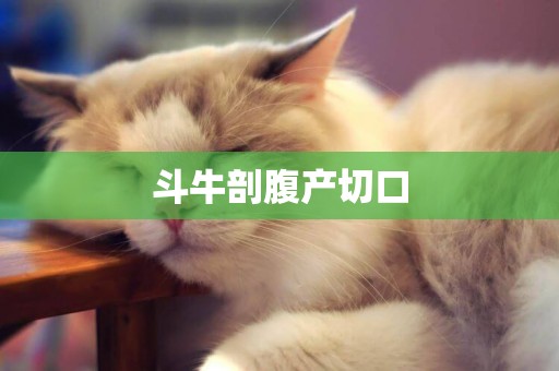 斗牛剖腹產切口