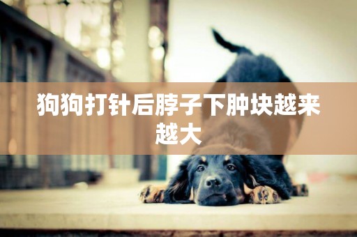 狗狗打針后脖子下腫塊越來越大