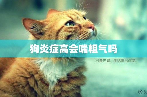 狗炎癥高會喘粗氣嗎