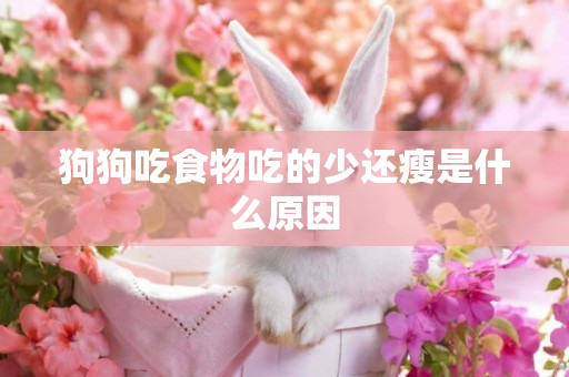 狗狗吃食物吃的少還瘦是什么原因
