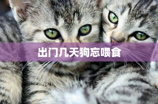 出門幾天狗忘喂食