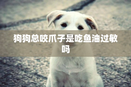狗狗總咬爪子是吃魚油過敏嗎