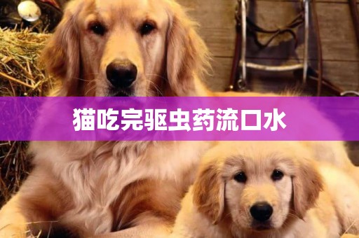 貓吃完驅蟲藥流口水