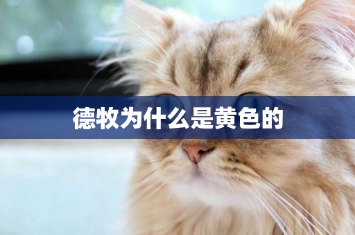 德牧為什么是黃色的