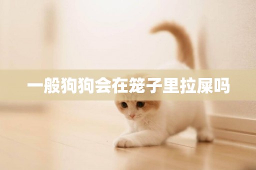 一般狗狗會在籠子里拉屎嗎