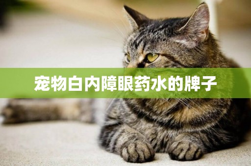 寵物白內障眼藥水的牌子