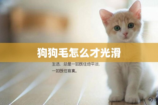 狗狗毛怎么才光滑