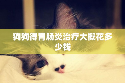 狗狗得胃腸炎治療大概花多少錢
