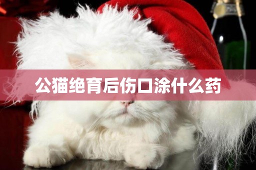 公貓絕育后傷口涂什么藥
