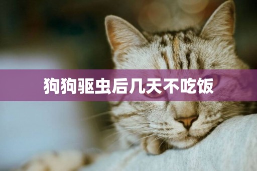 狗狗驅蟲后幾天不吃飯