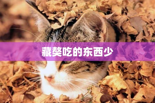 藏獒吃的東西少