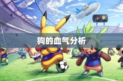 狗的血氣分析