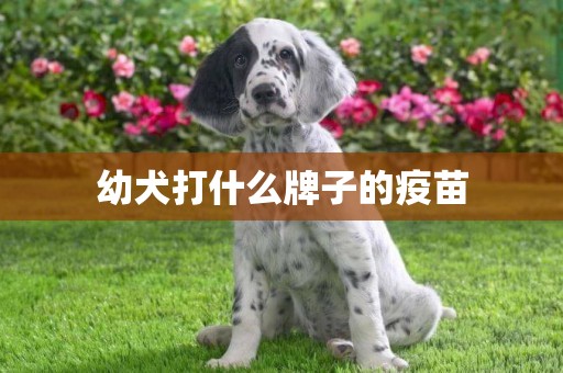 幼犬打什么牌子的疫苗