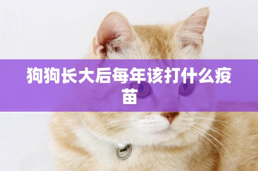 狗狗長大后每年該打什么疫苗